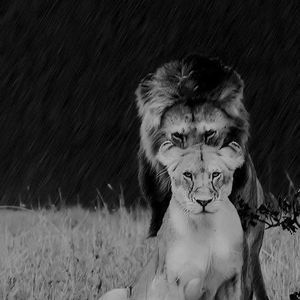 Meet your Posher, Anni